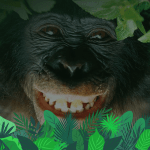 home-bonobos-header01.png